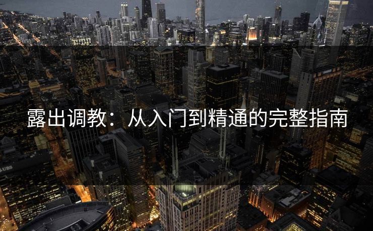 露出调教：从入门到精通的完整指南  第1张