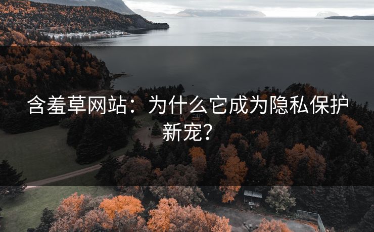 含羞草网站：为什么它成为隐私保护新宠？