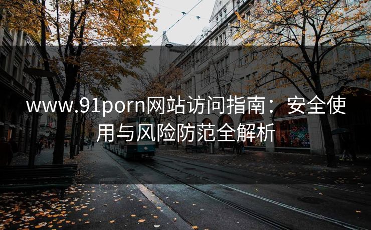 www.91porn网站访问指南：安全使用与风险防范全解析