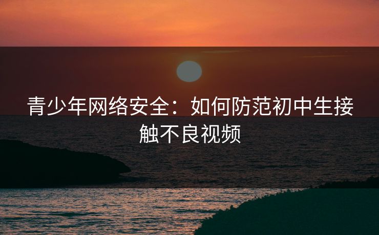 青少年网络安全：如何防范初中生接触不良视频