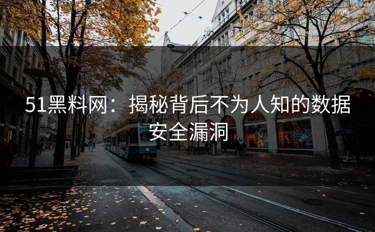 51黑料网：揭秘背后不为人知的数据安全漏洞
