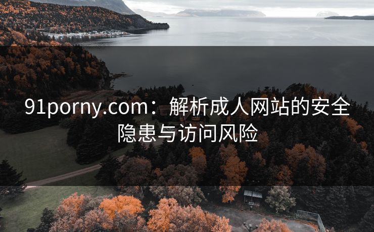 91porny.com：解析成人网站的安全隐患与访问风险